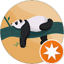 Sleepy Panda profile picture