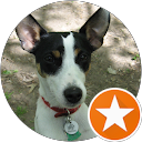 Bryanna Nagan profile picture